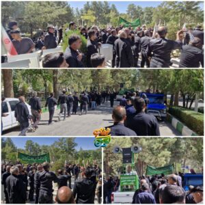 photo_2024-09-25_23-59-50